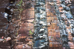 A tall reddish rock face of sandstone showing columns of black mudstone running through it