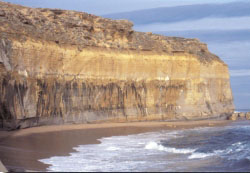 A view of a yellowish brown cliff face from the beach showing different layers of rock and sediment, changing colours in each layer.